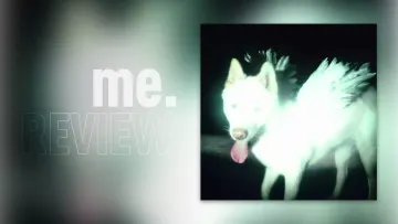 Review: Fat Dog – CANCEL ME (I’M TIRED): Pulp, den Pulp vergaß